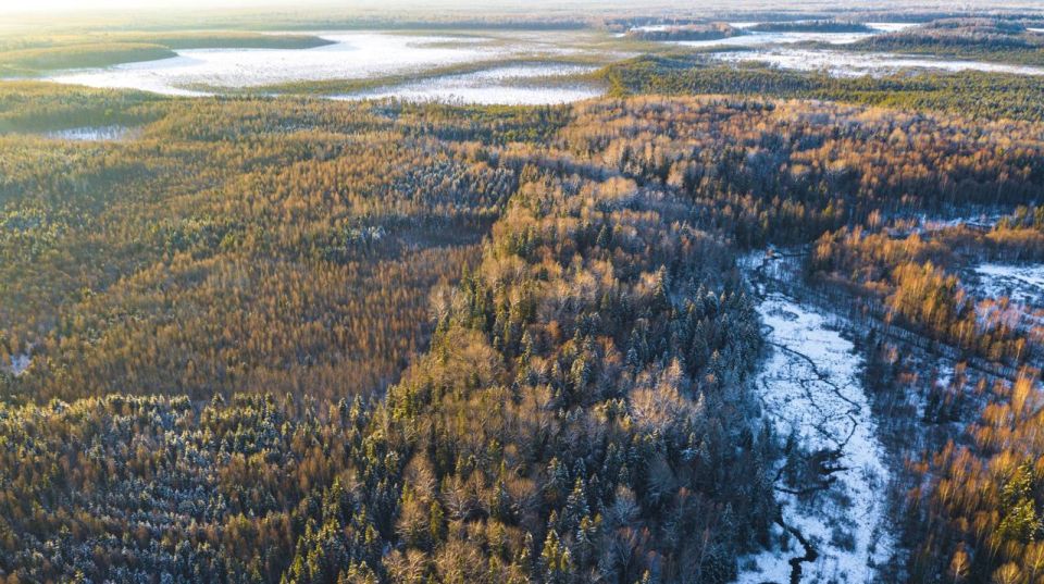 � ����������� ������� ������� ��� ���� ����� ���������� ��������� ���������� ������������ �������� � ������������ ���� �������� ���