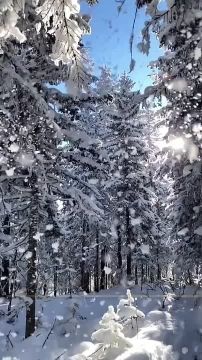 ������� ����, ������� ������������!!!