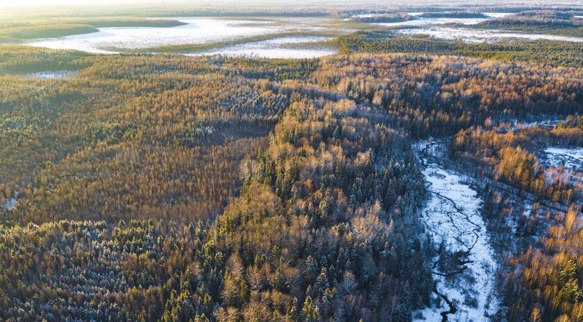 В Васильевском округе утверждено создание нацпарка федерального значения «Великий Луг»