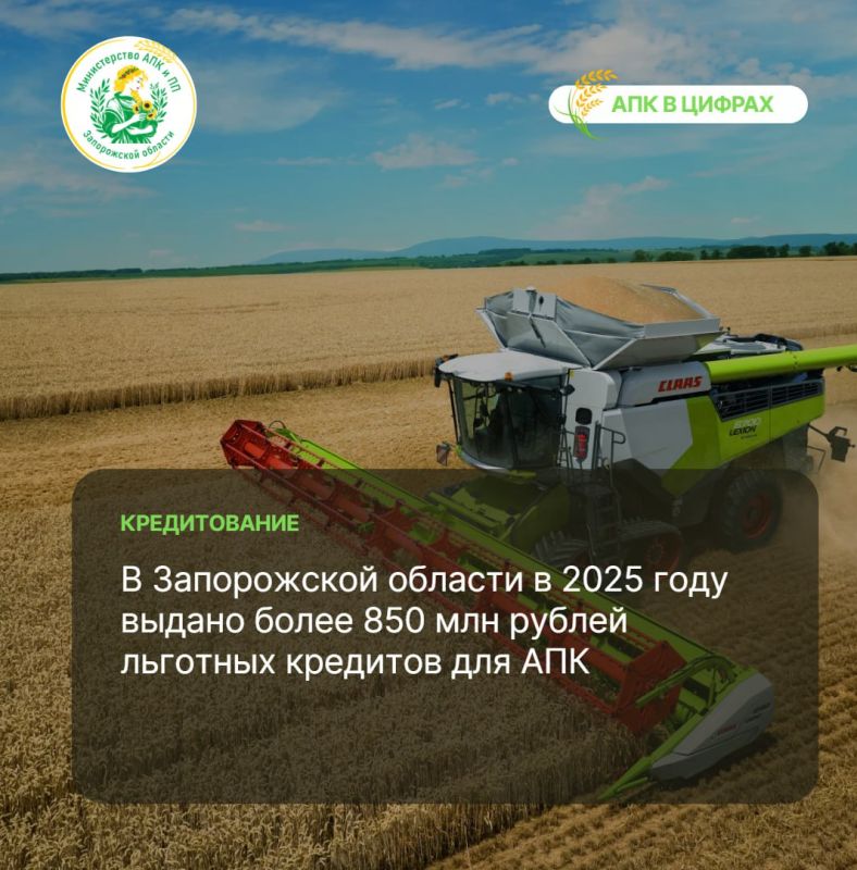 � ����������� ������� � 2025 ���� ������ ����� 850 ��� ������ �������� �������� ��� ���