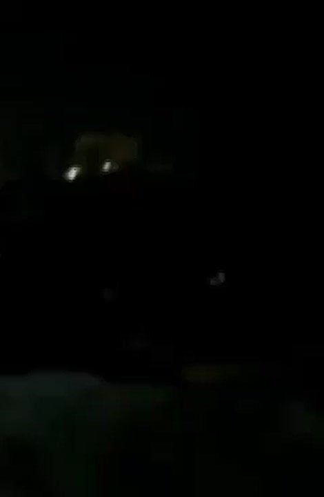 �� �������� ��������� ���� �������������� �����, ����� ���������� �� ����
