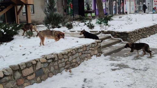 ����, ���������� � ������������: ����� ������ �������� �� ���������� ��������