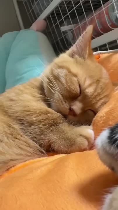 � ��� � �����. �� ������ ������ ���� �������� ���������