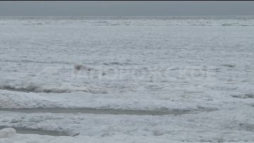 �������� ���� � ������ ��� ���������� ����������� ������� �������