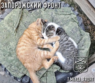 ���� ������� ���� � ������������ �����������