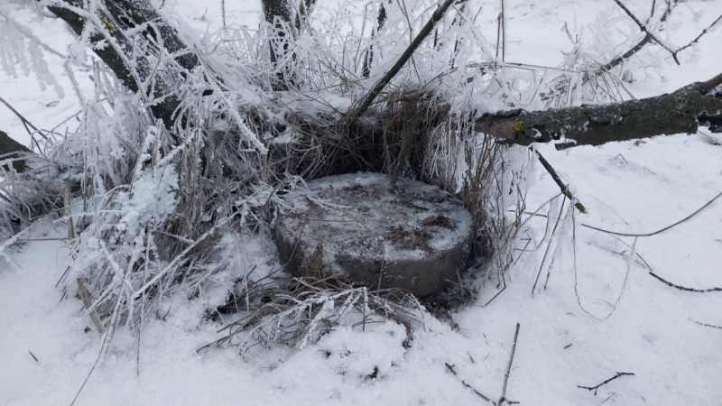 В Мелитопольском районе сотрудниками полиции Запорожской области были выявлены боеприпасы