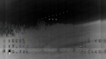 ����������� ����� ���� ���������� � ������� �� ���������� ���������� 38 ����������� �������������� ������� 35 ����� ����������� ����� "������"