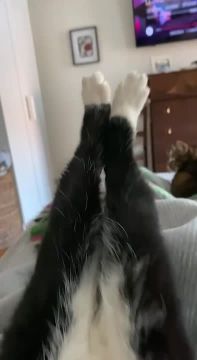 ���������� � ����������. ����� ������� ������ ��������