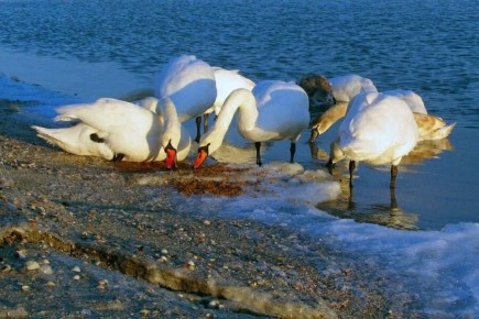 ������ ����, ������!. �������� ��������� ��������� ������� ������! ������ �������� ���� ������)) � ��� � �� ����� ����� ������! ��� �� �� � ����! ����� ����������� ����� �������! � ����� ������� �� ����������)) ����������...