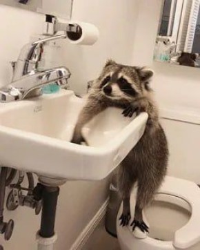 ������ ����, ������! �������� ��� ��� � ��������� ����������!