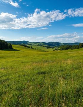 � ����������� ������� ������ ������������ ���� �������� ���