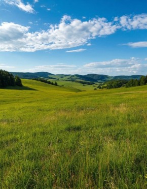 � ����������� ������� ������ ������������ ���� �������� ���