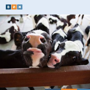 ��������� �������� � �� ����� ����� ������������� ����� ����� ��