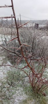 � ������ �����, � ����������� ����!