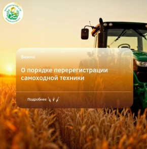 ����������� � ������� ��������������� ���������� ����� � �������� � ��� � 2026 ����