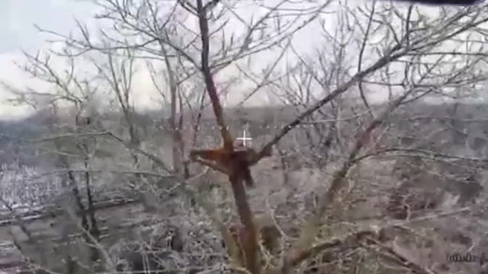 ����������� ���������� ������� ������ ����� �� �������� ��� � ����������� �������