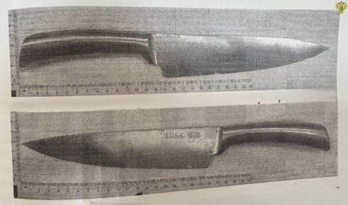 В Мелитопольском районе женщину признали виновной в нанесении ножевого ранения сыну