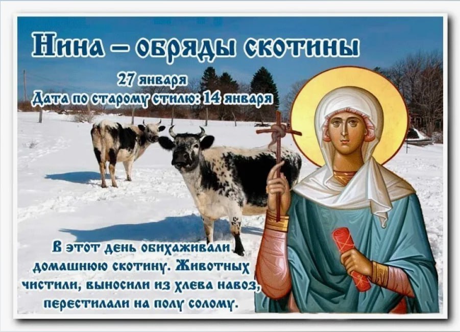 Народный календарь: Нина – обряды скотины
