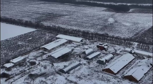 ����������� ������ ���������� ���������� ���������� �������� � �� ������� ����� ����������� ���