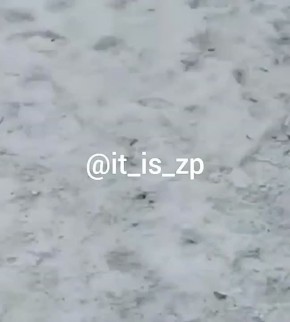 � ������ ��������� 16-������ ��������� ������� �������� � ����� ����