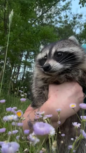 ������ ����, ������! �������� ��� ��� � ��������� ����������!