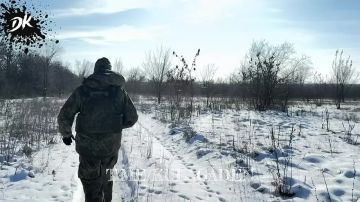 Окрестности Гуляйполе. Одновременно жуткий и завораживающий эксклюзив