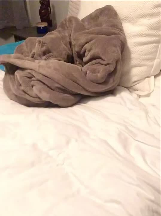 ���� �����. ����� ������� ������ ����� ����� ���������