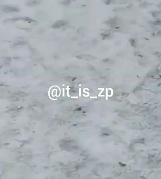 � ������ ��������� 16-������ ��������� ������� �������� � ����� ����