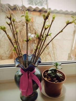 ������!. ���������� �������� �������, ��� ��������� ������� ������ ������������)) ���� ��� ������� �����! ������� ��� - �������������� ������� ������)) ������� � ���������� ������ ���� ���! �������� �����������)) ����������...