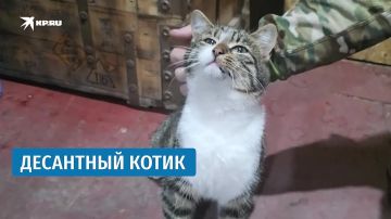 Гроза всех мышей: Десантники показали своего штатного крысолова