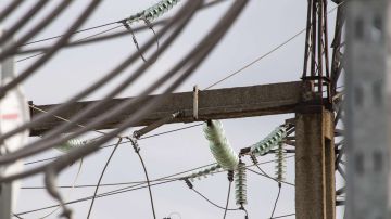 ����� 25 ����� ��������� ��� ����� � ����������� �������