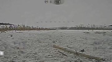 ��������� FPV-������ "�������" ���������� ������������ ��� � ����������� �������, �������� � �� ��