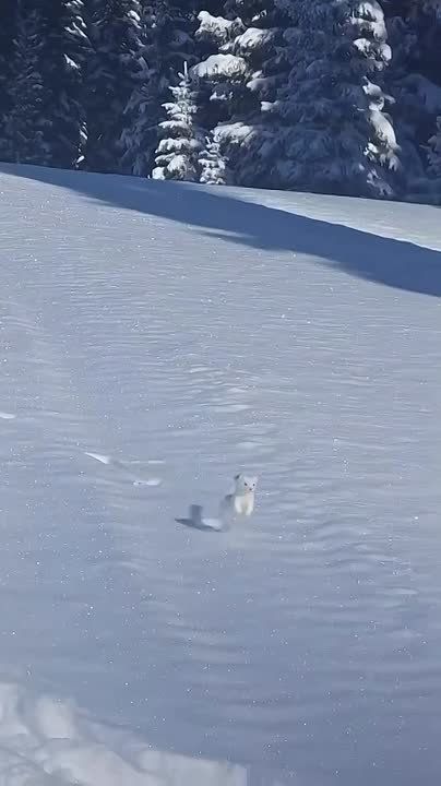 �� ��� �, ������!. ��������� �����)) ������� � ���������� ������ ���� ���! �������� �����������)) �������������� ��: Max