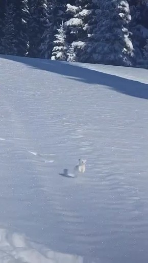 �� ��� �, ������!. ��������� �����)) ������� � ���������� ������ ���� ���! �������� �����������)) �������������� ��: � Max