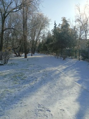 Пусть в момент, когда откроются глаза, откроются и пути к удаче, счастью и везению, и каждое мгновение этого утра сопровождается мощным позитивом, улучшая настроение в сотни раз, придавая сил, мотивации и желания покорить...