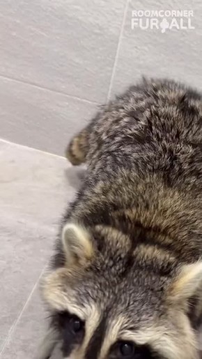 ������ ����, ������! �������� ��� ��� � ��������� ����������!