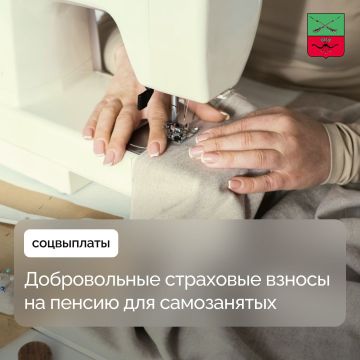 Страховой стаж для самозанятых