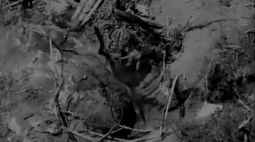 ����������� �����������. ��������� ������ 503 ������������ ��������������� ����� 58 ����� ���������� ����� ���� ����� � ������ ��.������