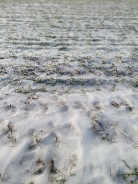 ��� ��������� ���� ������ ���� �����?