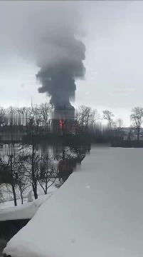 ���� ����: �� �� ����� ������� ���� �� ����� � 5 �������� �������: