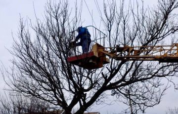 ��������� ������ ��. ����������� ���������������� ������� �� ����-�������� ��ʻ ��������� ������ �� ��������� ������ ��������� ����� ��������������� �� ��������-������������� �������������� � �������������� ������