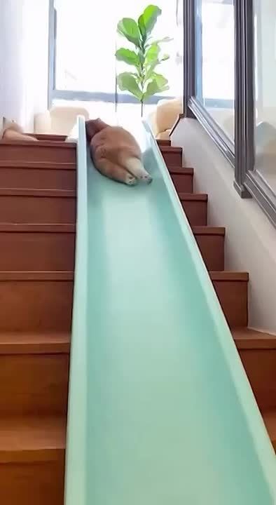 ����� � ��������� �������. ����������� � ����� ������� ����