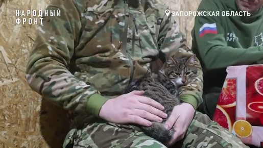 ������ ������� � �������� ����� ������������ ������������� �� ���������