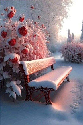 ������ ����, ������������. ��������� ����������