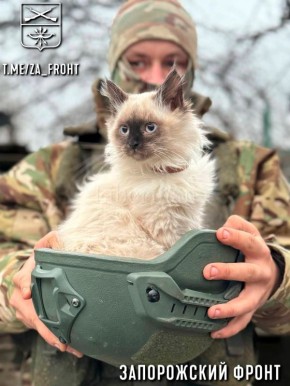 Всем бодрого утра с Запорожского направления