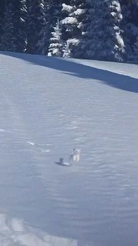 �� ��� �, ������!. ��������� �����)) ������� � ���������� ������ ���� ���! �������� �����������)) �������������� ��: � Max