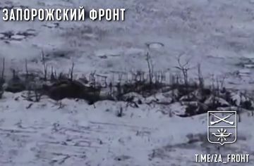 �������� ������� �� ������ �����, 291 ����, ���������� ��������� ��������� �� ���������� �����������