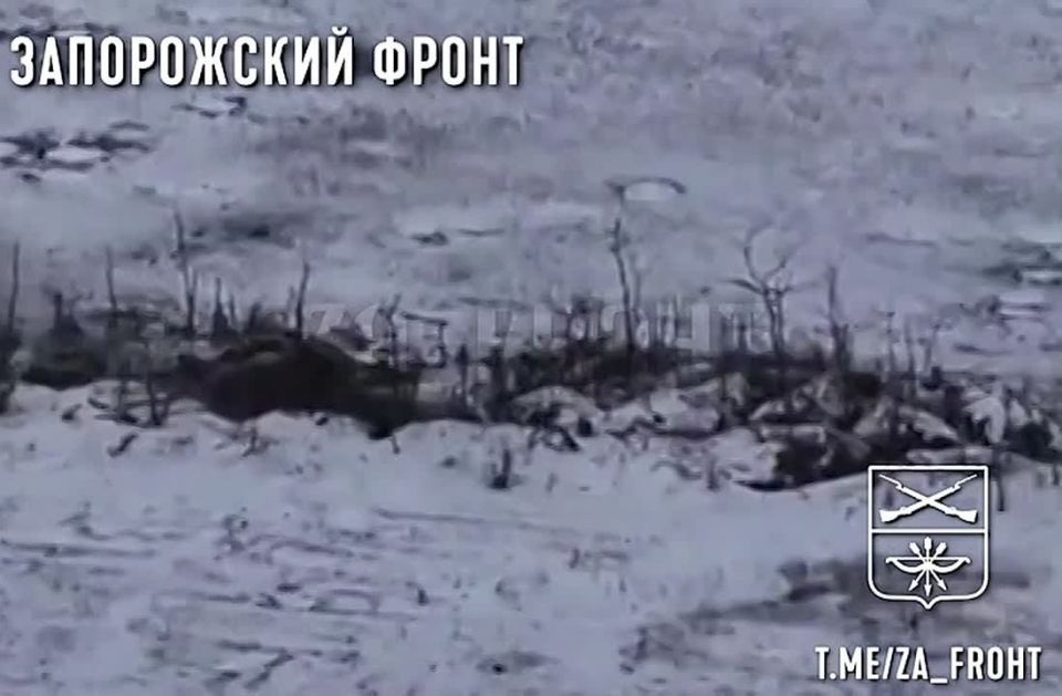 �������� ������� �� ������ �����, 291 ����, ���������� ��������� ��������� �� ���������� �����������