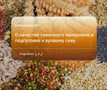 О качестве семенного материала и подготовке к яровому севу