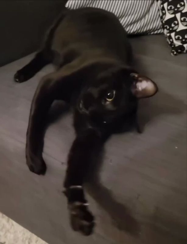 ��� � ����� ����. �������� � ���� � ������ �� ������